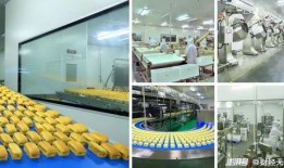 盐津铺子爆料事件视频最新,真相揭露，行业乱象引关注